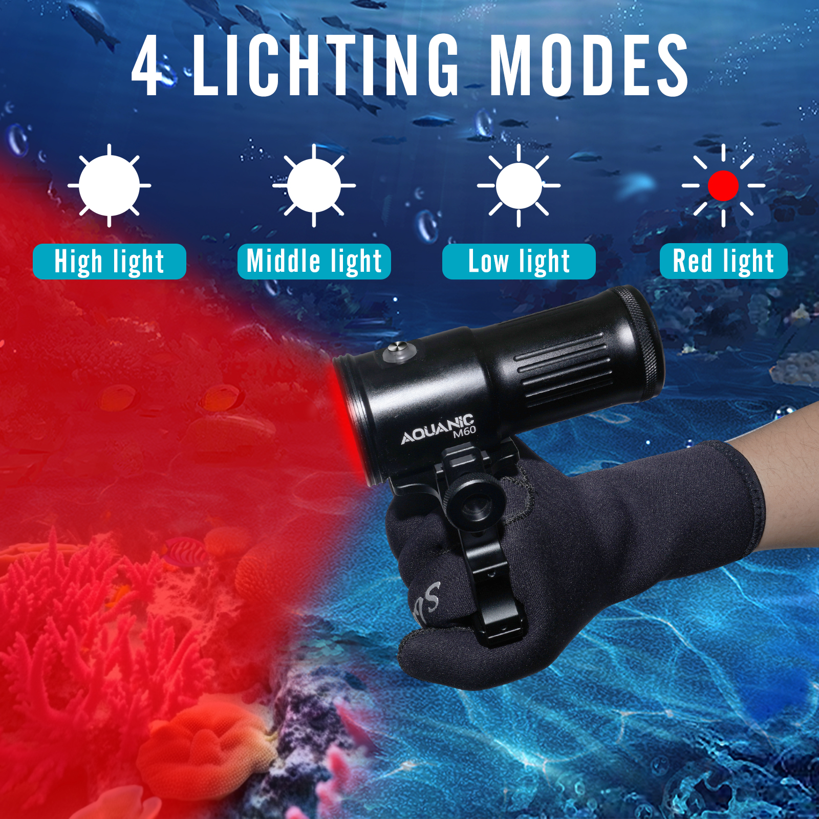 Nitescuba professional diving  - Photography Lighting Type incelemesi ve fiyatı